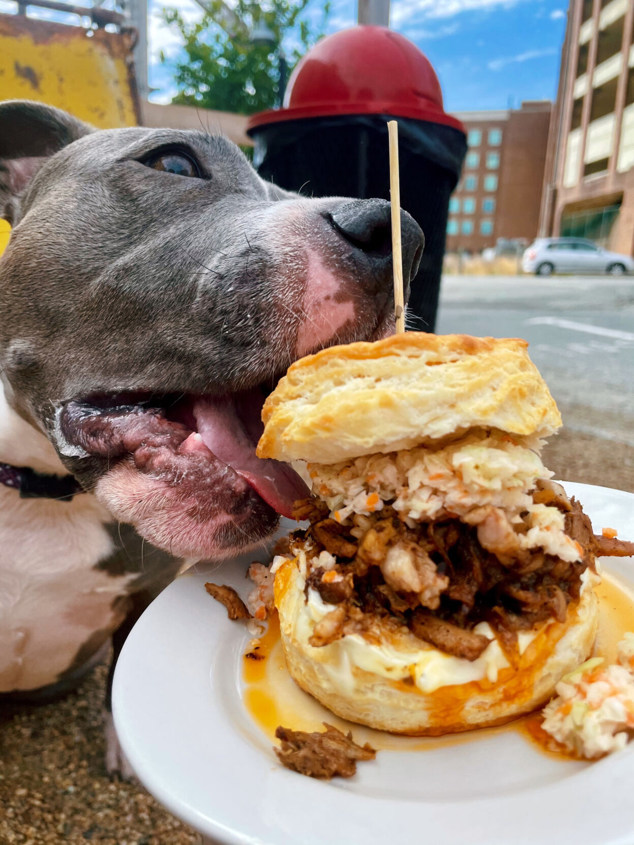 the Lexington (with dog).jpg